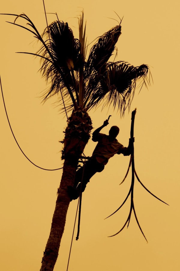 © Maureen J Haldeman, Embracing The Heights