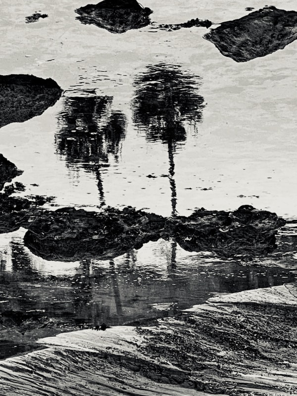 Maureen Haldeman, GROUNDED, 2021