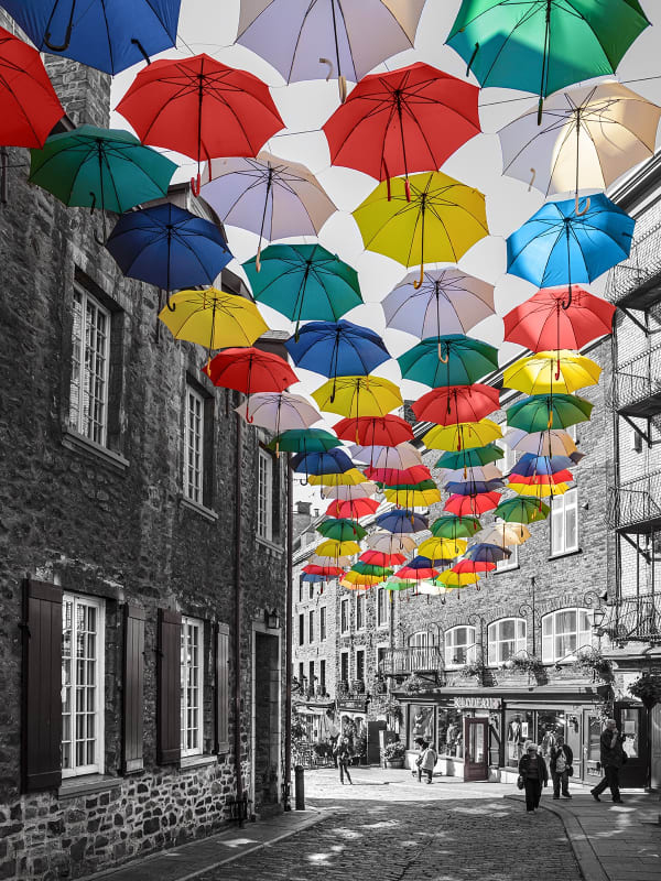 Eric Renard, Umbrellas, 2019