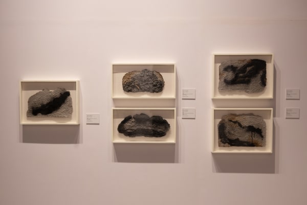 0X9A5576 Enhanced Nr