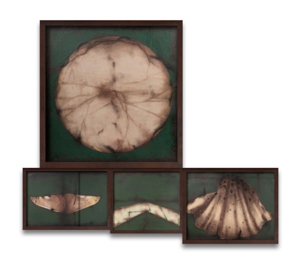 Suman Dey, Fragment of Thought - IV, 2024