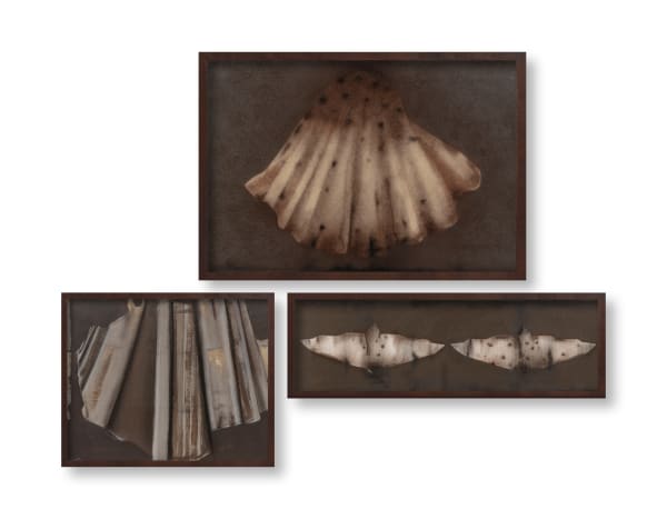 Suman Dey (b.1981) Journey Acrylic, charcoal, and pencil on Nepalese handmade paper Overall dimension variable A - 15.07 x 22.04 in. B - 10.82 x 13.77 in. C - 6.61 x 21.96 in. Set of 3 works 2024