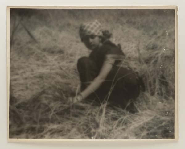 Lalit Mohan Sen, Photograph for the painting Smiling Gold, c.1940s - 50s