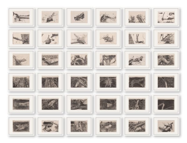 Vishal Kumar Gupta (b.1996), Fragment as Landscape or Body! X (Series: Fragment as Landscape or Body!), 2024 - 2025,