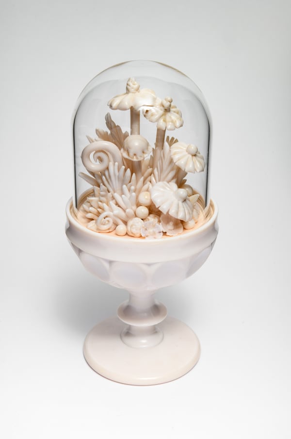 Amber Cowan, Champagne in Shell, 2024