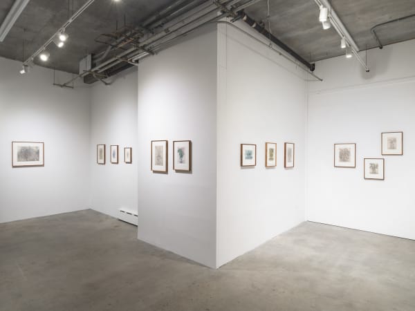 Jsp8797 Larger Srgb Credit Jsp Art Photography