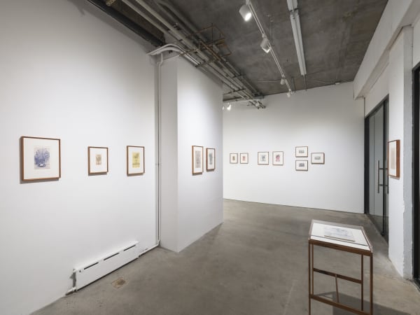 Jsp8808 Larger Srgb Credit Jsp Art Photography