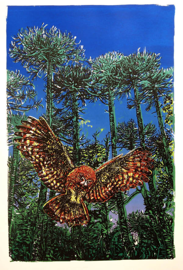 Javier Molina, Concon