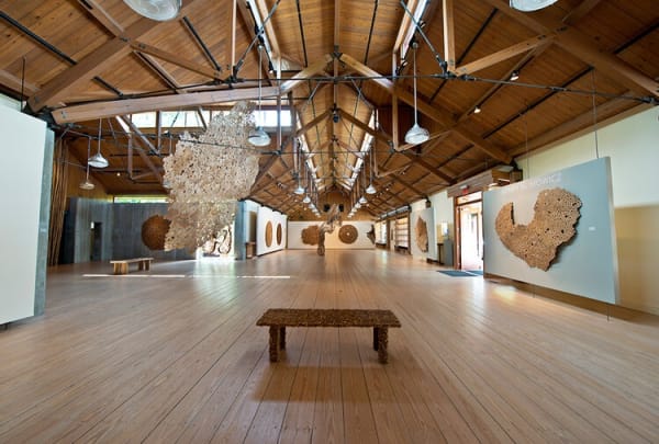 Henry Klimowicz 2013