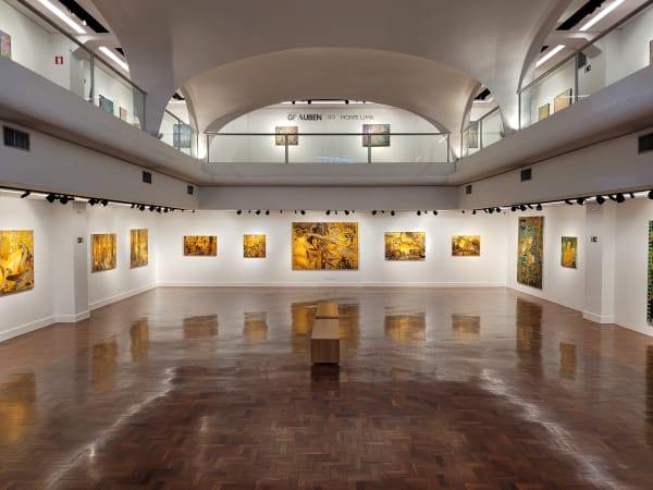 BRUNO NOVELLI: Sol de ouro Museu Inimá de Paula – MG