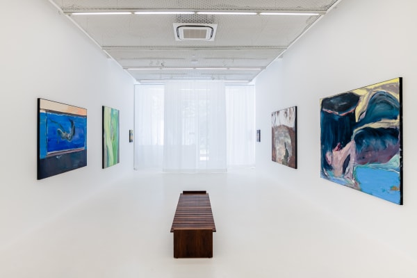 Daniel Lannes: paradises Critical Essay: Tomás Toledo