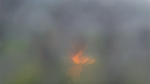 a clear veil