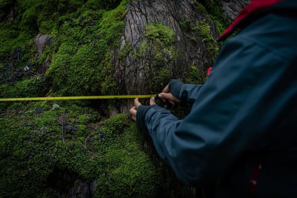 Land; Relationship; Ceremony: A conversation with Rande Cook