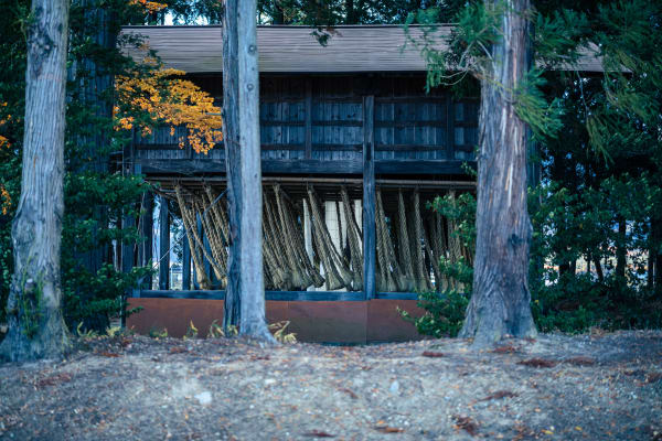 Photo by Takahiro Tsushima.