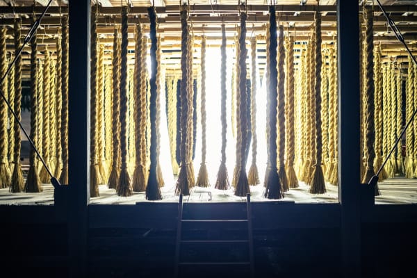 Photo by Takahiro Tsushima.