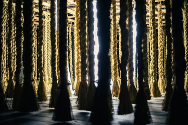 Photo by Takahiro Tsushima.