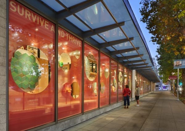 Survive And Thrive Gates Foundation