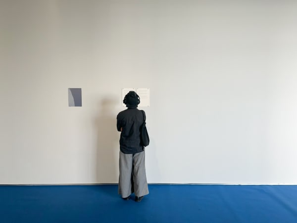 448358935 873938574761279 2430855393578261693 N