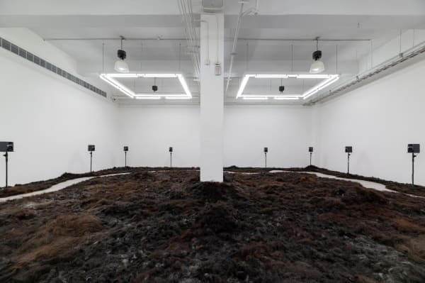 張碩尹X許德彰計劃:那些僅剩的遺骸