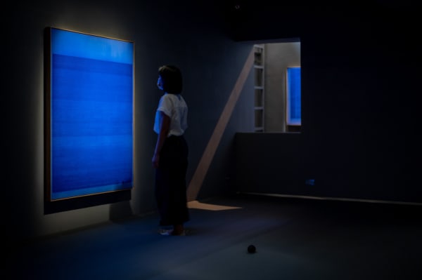 300114445 5420361661404380 3857237524573534104 N