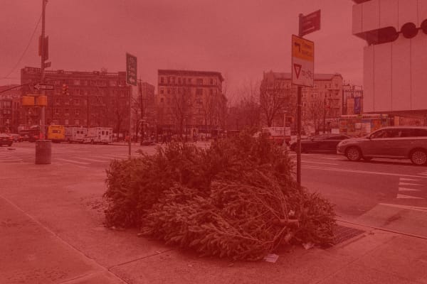 吳家昀參與《創世熱》