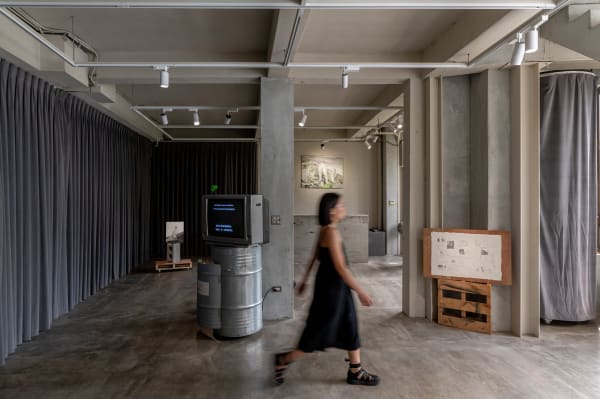 溫佳寧：老鼠並不笨