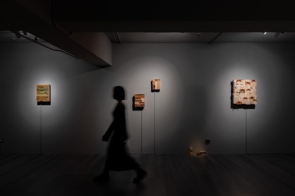 邱懷萱:樹影中的輪廓