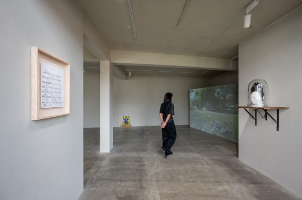 周晏旭:Summoner of Birds Solo Exhibition