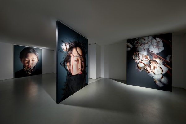 Johyun Gallery Kang Kang Hoon Installation View 11 Photo By Kim Sangtae 2