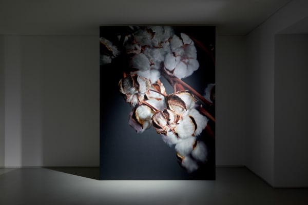 Johyun Gallery Kang Kang Hoon Installation View 5 Photo By Kim Sangtae 2