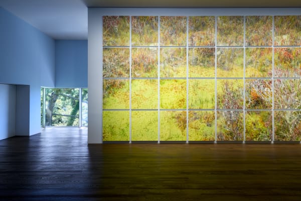 Johyun Gallery Lee Kwang Ho Installation View 3