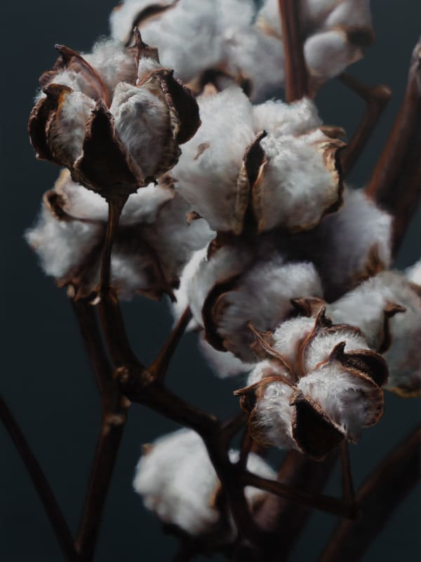 Kang Kang Hoon Dwell of Moonlit 2023 Oil On Canvas 130 x 97cm 14,000 USD