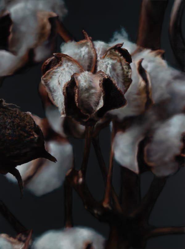 Kang Kang Hoon Cotton, 2024 Oil on Canvas 130.3x97cm SOLD