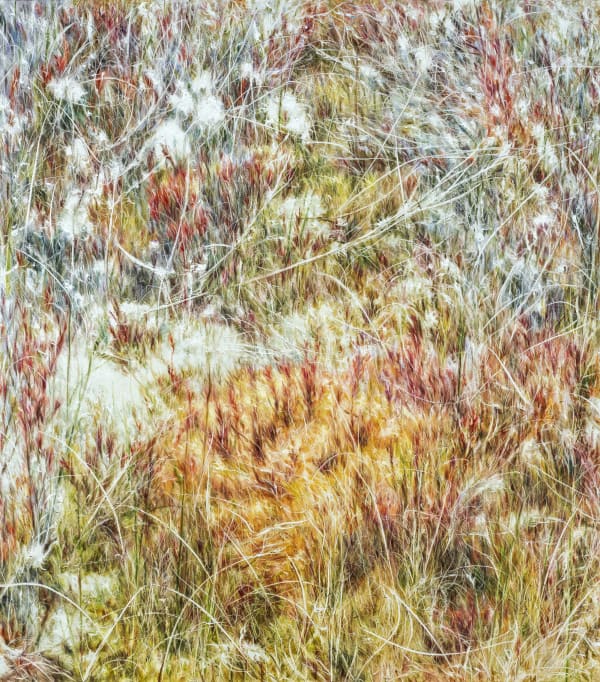 LEE KWANG HO Untitled 4479-4, 2023 Oil on canvas 116x104cm SOLD