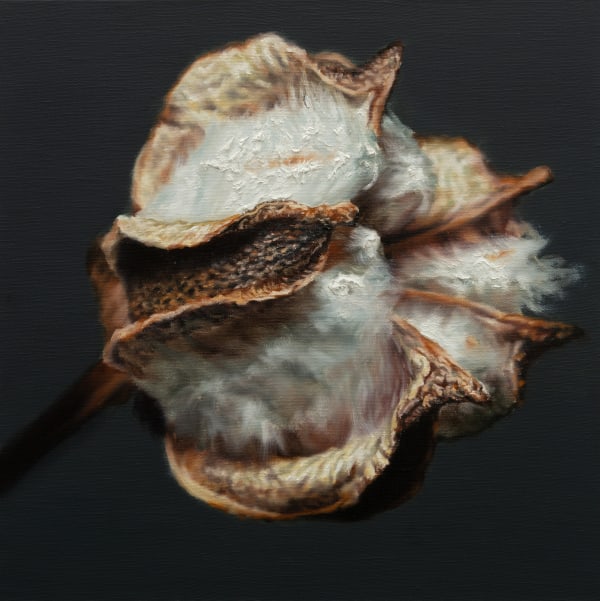 Kang Kang Hoon Cotton, 2024 Oil on Canvas 40 x 40 cm $3,500 USD
