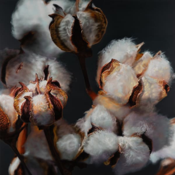 Kang Kang Hoon After Sunset, 2024 Oil on Canvas 150 x 150 cm $25,000 USD