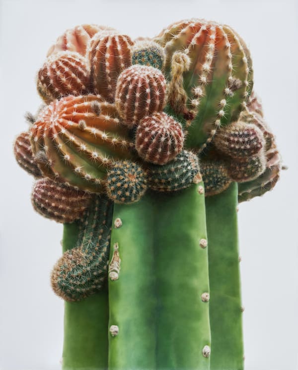 Lee Kwang-Ho Untitled 6302, 2022 Oil on canvas 162.2 x 130.3 cm 63 7/8 x 51 1/4 in. $ 28,000 USD