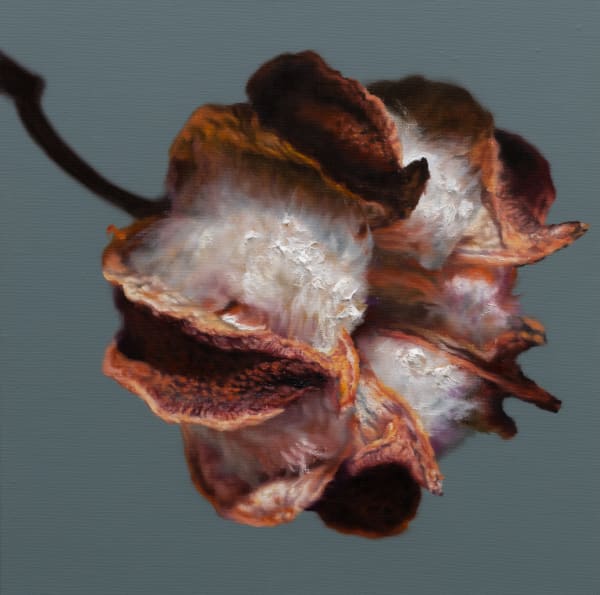 Kang Kang Hoon Cotton(251203), 2025 Oil on canvas 40 x 40 cm $3,500 USD