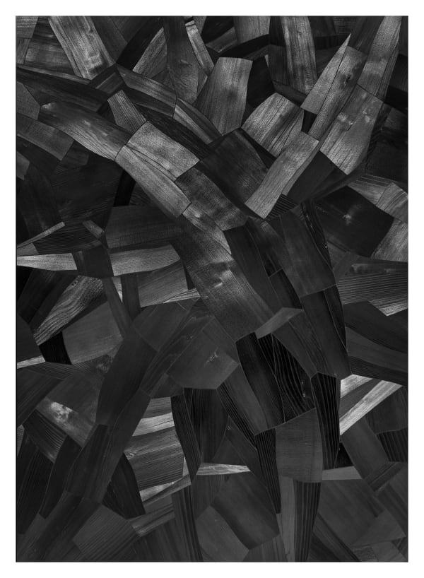 Lee Bae Issu du feu-t-7, 2004 Charcoal on canvas 117 x 82 cm $126,000 USD