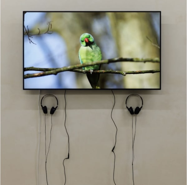 Adham Faramawy wins CIRCA Art Prize 2025