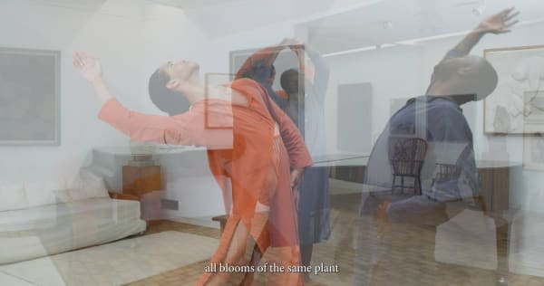Adham Faramawy at Kettle's Yard, University of Cambridge