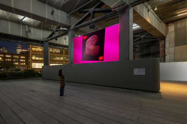 Jala Wahid at the High Line, New York
