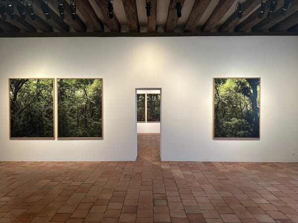 Pierre, Feuille, silex, Jeu de Paume, Tours, 2024