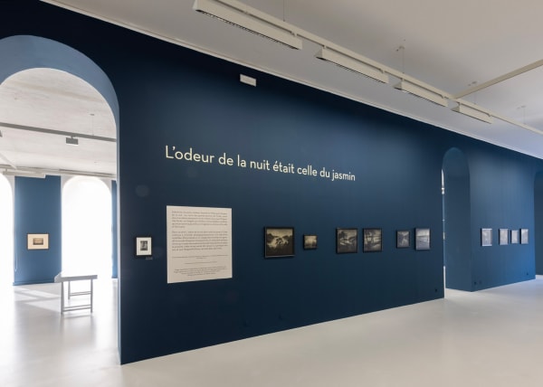 Flore - Le temps du souvenir Rétrospective 1996-2023, Villa Tamaris, Paris, France, 2023