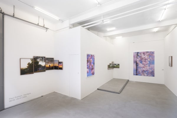 Verdigris, Carlier | Gebauer, Madrid, Espagne, 2025