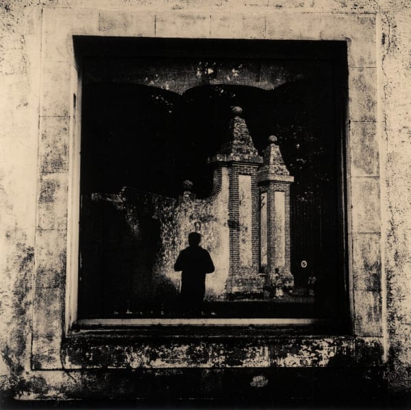 Looking At The Window