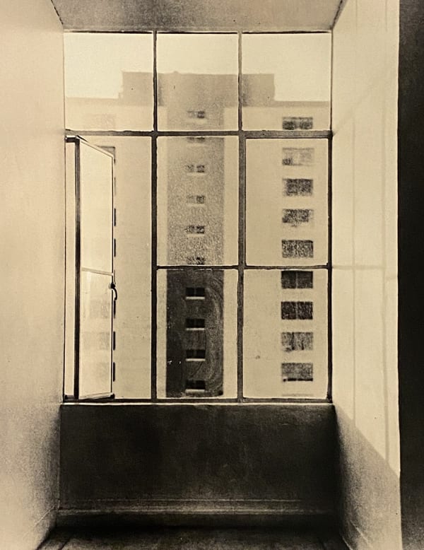 Guillaume Zuili, Open Window, 2020 Série "Urban Jungle" Tirage lith, 40 x 50 cm