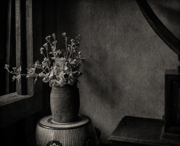 FLORE, [Sans titre] Tirage argentique à l’agrandisseur réalisé par l’artiste, teinté au thé et ciré 24 x 30 cm