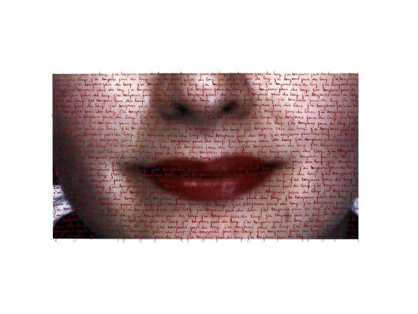 Carolle Bénitah: J'ai toujours peur du loup, 2015 (CF-CB-3613)