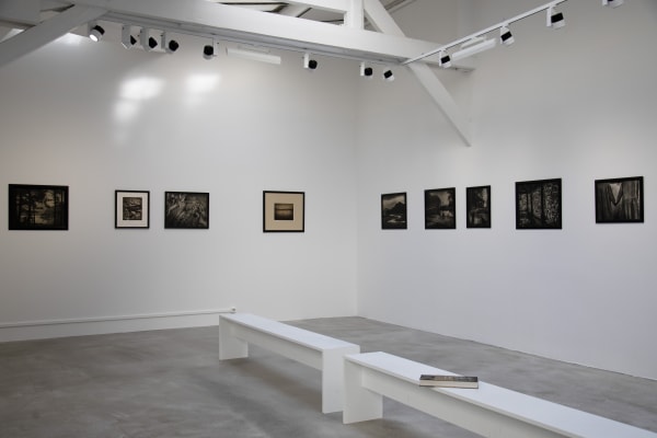 L’odeur de la nuit était celle du jasmin FLORE